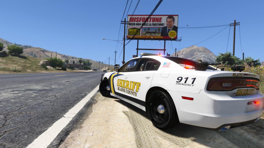 large.BCSO.CHARGER.2.jpg.748e8de54436e662348c024e5781d4c3.jpg