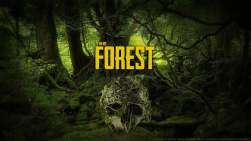 More information about "Gameplay Review Of The Forest"